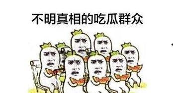 吃瓜群众网络新词,网络新词背后的社会现象解析